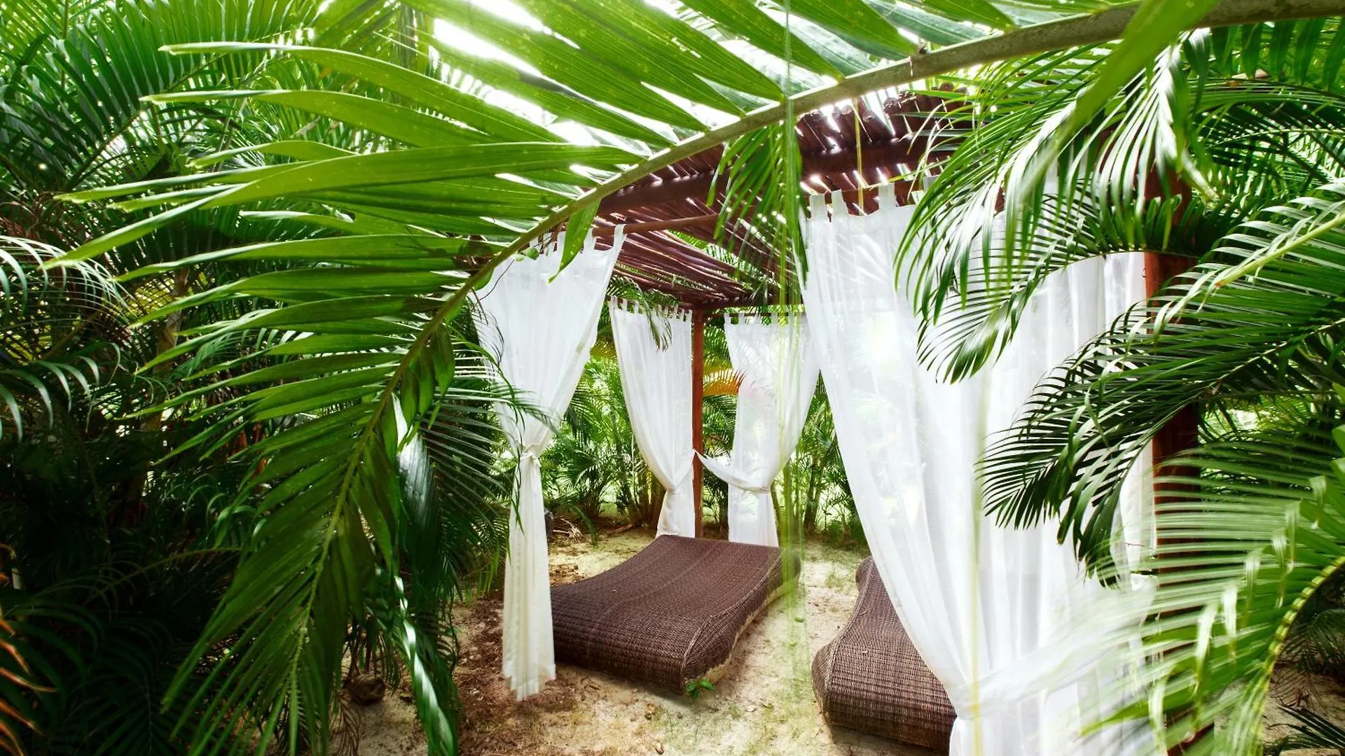Ducassi Sutes Playa Los Corales Hotel Punta Cana